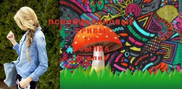 мдпв Лагань