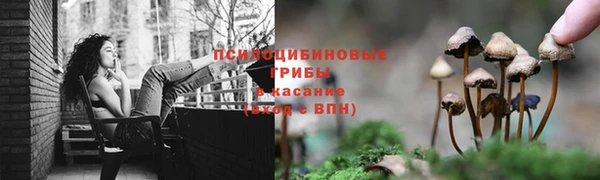 МДМА Лабытнанги