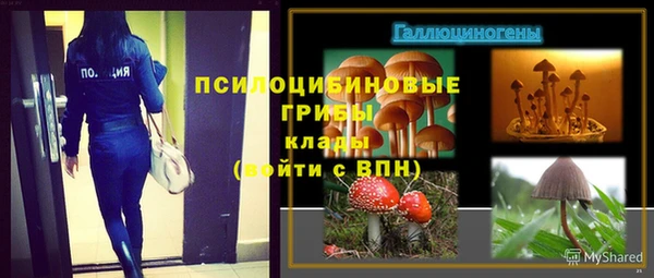 прущая мука Кулебаки