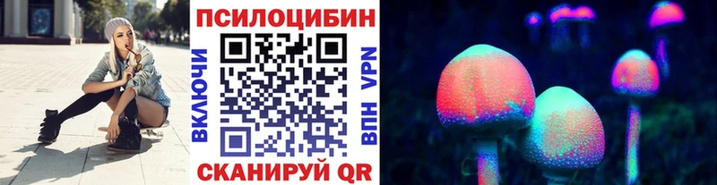купить наркоту  Пермь  Галлюциногенные грибы Psilocybe 